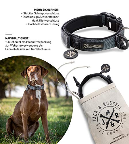 Jack & Russell Premium Hundehalsband Milu - Klettband - reflektierend - Neopren gepolstert - Hunde Halsband div. Größen und Farben - Milu (L(43-58 cm), Grau) von Jack & Russell