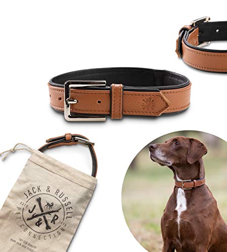 Jack & Russell Premium Leder Hunde Halsband Lilly - Lederhalsband Kalbleder - Hundehalsband Echtleder Lilly (XXL, Braun/Schwarz) von Jack & Russell