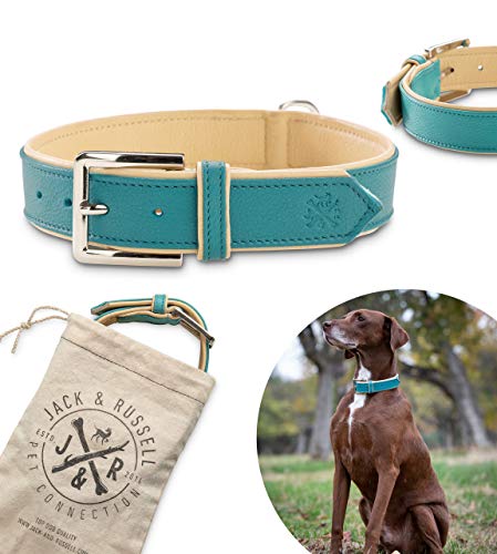 Jack & Russell Premium Leder Hunde Halsband Lilly - Lederhalsband Zwei Farben/Kalbleder vernäht - Hundehalsband Echtleder und Edelstahl Lilly (XS, Türkis/Beige) von Jack & Russell