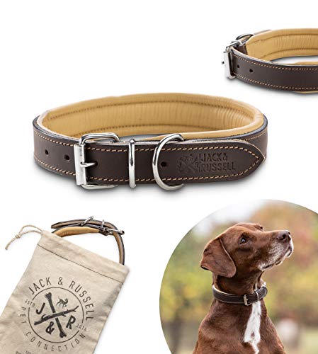 Jack & Russell Premium Leder Hunde Halsband Pluto - Original Leder Halsband - echtes Leder braun Pluto (L) von Jack & Russell