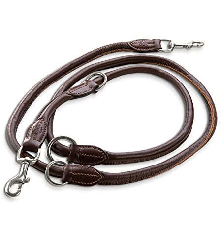 Jack & Russell Premium Leder Hundeleine Dexter 2,0m - Hunde Lederleine mit Messing-Karabiner - Echtleder Leine mehrfach verstellbar Dexter (Braun) von Jack & Russell