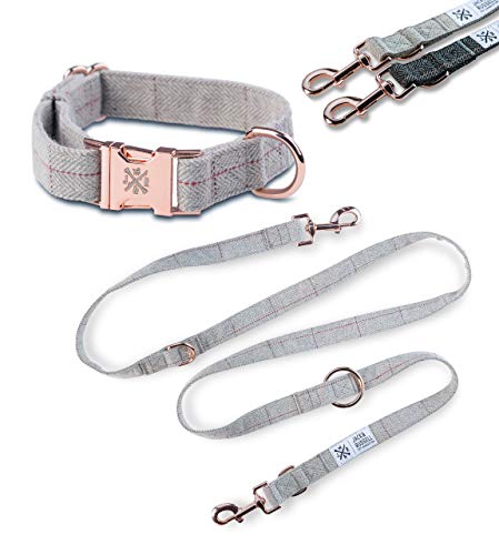 Jack & Russell Tweed Set Hundeleine 2,0m + Halsband mit roségoldenen Karabiner - Hundeleine elegant mehrfach verstellbar (S/M, Grau-Meliert) von Jack & Russell