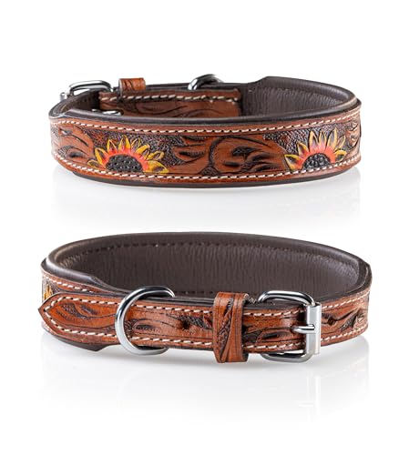 Jack & Russell Unikat Hundehalsband aus Leder, Hand-geschnitzt und gepolstert – Halsband aus Büffelleder, Hunde Lederhalsband Soleil (M/31,5-40) von Jack & Russell