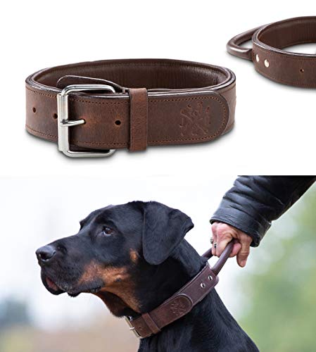 Premium Leder Hunde Halsband Jack mit Haltegriff - Leder Hundehalsband mit Ledergriff - Echtleder sehr robust - Jack (L) von Jack & Russell