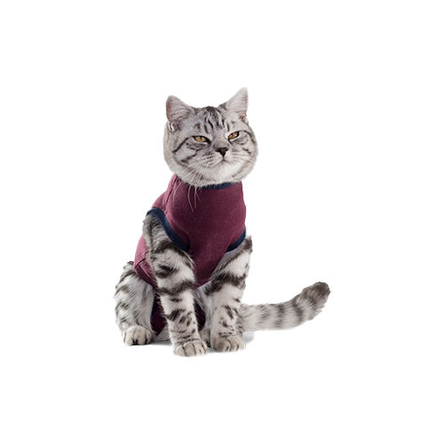 Jacketz Medical Body Suit Katze - Blue - XS Jacketz Medical Body Suit Katze - Blue - XS von Jacketz