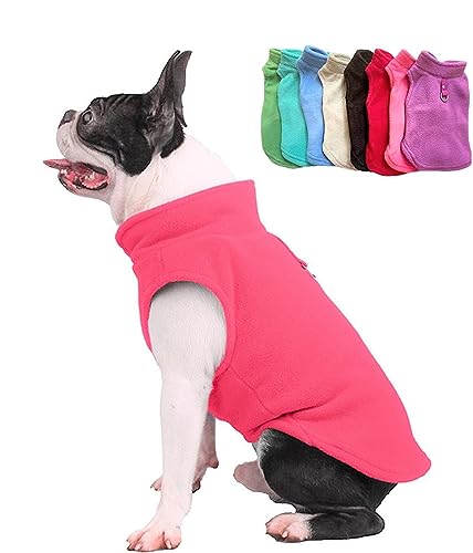 JACKO & CO Fleece-Weste mit Ring für die Leine – weich, leicht, atmungsaktiv für Welpen, kleine, mittelgroße Hunde, Kätzchen, Katzen, Chihuahua, warm für Herbst/Herbst/Winter (rosa Limonade, Größe M JACKO & CO Fleece-Weste mit Ring für die Leine – weich, leicht, atmungsaktiv für Welpen, kleine, mittelgroße Hunde, Kätzchen, Katzen, Chihuahua, warm für Herbst/Herbst/Winter (rosa Limonade, Größe M von Jacko & Co