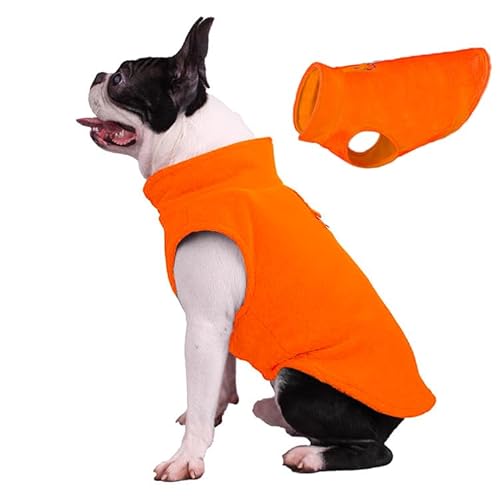 JACKO & CO Fleece-Weste mit Ring für die Leine – weich, leicht, atmungsaktiv für Welpen, kleine, mittelgroße Hunde, Kätzchen, Katzen, Chihuahua, warm für Herbst/Herbst/Winter JACKO & CO Fleece-Weste mit Ring für die Leine – weich, leicht, atmungsaktiv für Welpen, kleine, mittelgroße Hunde, Kätzchen, Katzen, Chihuahua, warm für Herbst/Herbst/Winter von Jacko & Co