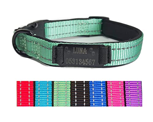 Hundehalsband Halsband Name Gravur personalisiert Haustier Hund Katze Nylon besonders stabil (L, Grün) von Jacks O Be