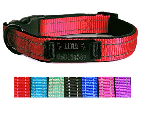 Hundehalsband Halsband Name Gravur personalisiert Haustier Hund Katze Nylon besonders stabil (L, Rot) von Jacks O Be