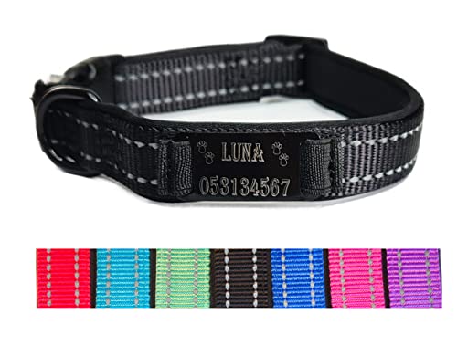 Hundehalsband Halsband Name Gravur personalisiert Haustier Hund Katze Nylon besonders stabil (L, Schwarz) von Jacks O Be