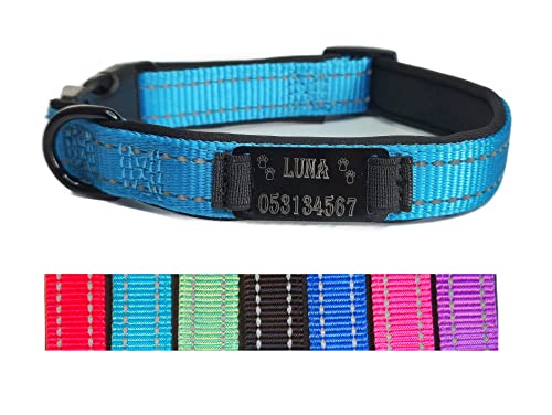 Hundehalsband Halsband Name Gravur personalisiert Haustier Hund Katze Nylon besonders stabil (M, Hell Blau) von Jacks O Be