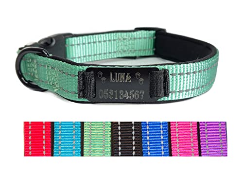 Hundehalsband Halsband Name Gravur personalisiert Haustier Hund Katze Nylon besonders stabil (S, Grün) von Jacks O Be