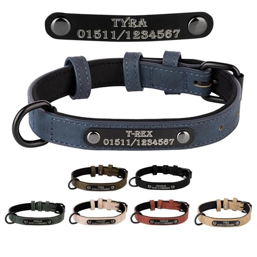 Jacks O Be Hundehalsband Halsband Name Gravur personalisiert Haustier Hund Katze Leder (Blau, L) von Jacks O Be