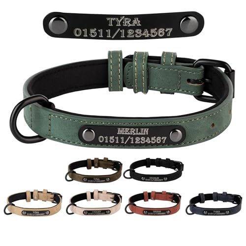 Jacks O Be Hundehalsband Halsband Name Gravur personalisiert Haustier Hund Katze Leder (L, Grün) von Jacks O Be