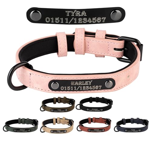 Jacks O Be Hundehalsband Halsband Name Gravur personalisiert Haustier Hund Katze Leder (L, Rosa) von Jacks O Be