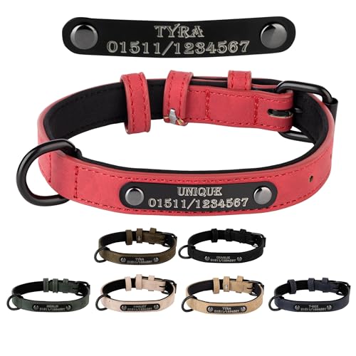 Jacks O Be Hundehalsband Halsband Name Gravur personalisiert Haustier Hund Katze Leder (L, Rot) von Jacks O Be