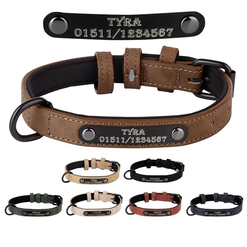 Jacks O Be Hundehalsband Halsband Name Gravur personalisiert Haustier Hund Katze Leder (Dunkel Braun, M) von Jacks O Be