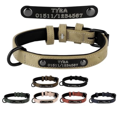 Jacks O Be Hundehalsband Halsband Name Gravur personalisiert Haustier Hund Katze Leder (S, Hell Braun) von Jacks O Be