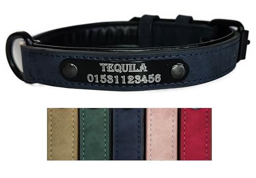 Jacks O Be Hundehalsband Halsband Name Gravur personalisiert Haustier Hund Katze Leder (XL, Blau) von Jacks O Be