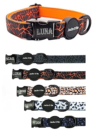 Jacks O Be Hundehalsband Halsband Name Gravur personalisiert Haustier Hund Katze Nylon besonders stabil (M, Orange) von Jacks O Be