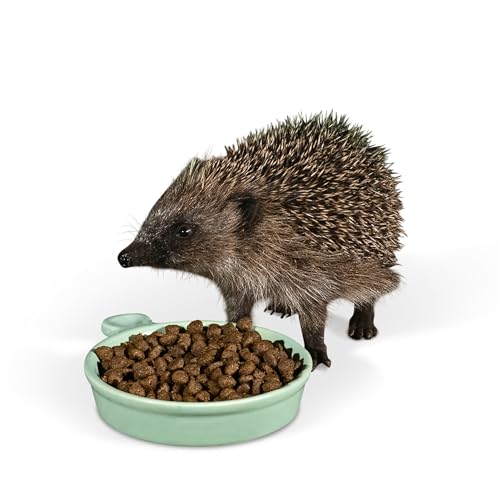 Jacobi Jayne Keramik Igel Futter- und Wassernapf Igelschale - Wetterbeständiger Igel-Futternapf, speziell für Igelkomfort entwickelt von Jacobi Jayne