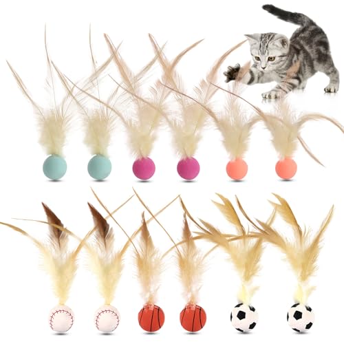 Jaczora 12 Stück Hüpfbälle mit Feder, 2,5 cm, interaktives Gummi-Spielbälle, Spielzeug für Katzen, Indoor-Spielzeit, Solo-Spiel, Übung, Jagdspiele, Katzenunterhaltung von Jaczora