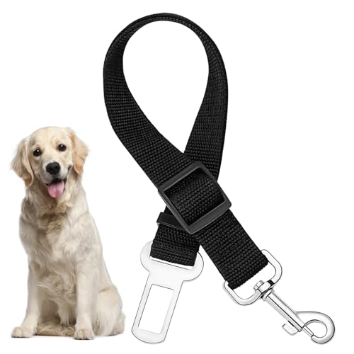 1 Stück Verstellbarer Hunde Sicherheitsgurt fürs Auto, Nylonleine mit Haken, Höchste Sicherheit für alle Hunderassen und Katzen, Kompatibel mit Allen Autotypen 1 Stück Verstellbarer Hunde Sicherheitsgurt fürs Auto, Nylonleine mit Haken, Höchste Sicherheit für alle Hunderassen und Katzen, Kompatibel mit Allen Autotypen von Jadeseal