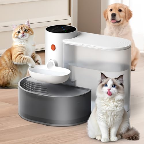Haustier Automatischer Wasserspender, Ultra-Leiser Katzenbrunnen, Intelligenter GießWasserspender No Filter Ausgestattet, Trinkbrunnen FüR Katze Kabellos, Abwassertrennung Und Immer Frisches Wasser Haustier Automatischer Wasserspender, Ultra-Leiser Katzenbrunnen, Intelligenter GießWasserspender No Filter Ausgestattet, Trinkbrunnen FüR Katze Kabellos, Abwassertrennung Und Immer Frisches Wasser von Jadyon