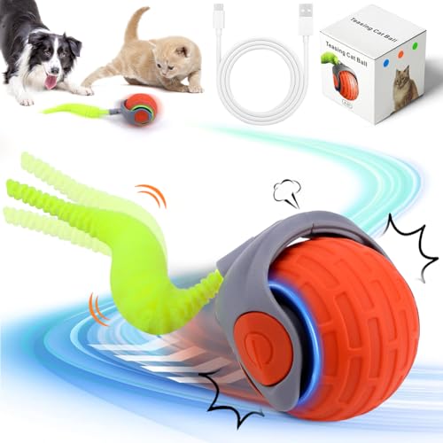 Katzenspielzeug Elektrisch, Interaktives Katzenspielzeug, Katzen-spielzeug Selbstbeschäftigung Rolling Ball Interakties Balls Spielzeug, Neuer Automatisch Beweglicher Katzen-spielzeugball mit Schwanz Katzenspielzeug Elektrisch, Interaktives Katzenspielzeug, Katzen-spielzeug Selbstbeschäftigung Rolling Ball Interakties Balls Spielzeug, Neuer Automatisch Beweglicher Katzen-spielzeugball mit Schwanz von Jadyon