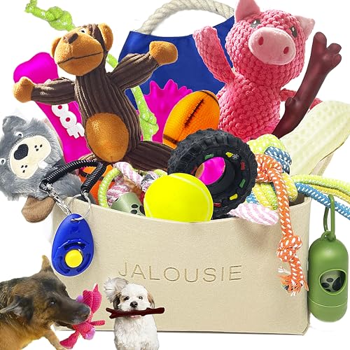 Jalousie 24 Stück Hund Geschenkkorb für mittelgroße Hunderassen, große Rassen, kleine Rassen, Quietschspielzeug, Plüschspielzeug, Gummispielzeuge, Seilspielzeug, Trainingsspielzeug und ein von Jalousie
