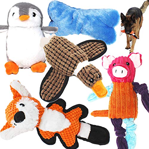 Jalousie Hundespielzeug-Sortiment, 5 Stück, Plüsch-Spielzeuge für Hunde, quietschendes Spielzeug Jalousie Hundespielzeug-Sortiment, 5 Stück, Plüsch-Spielzeuge für Hunde, quietschendes Spielzeug von Jalousie