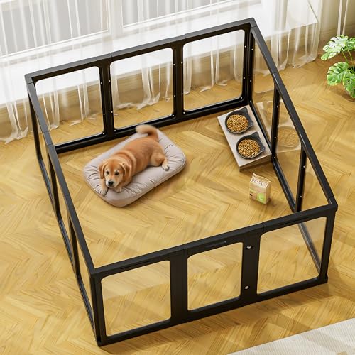 Jalove Laufstall für Hunde, transparent, für den Innenbereich, 76,2 cm hoch, einfache Montage, transparent, für kleine und mittelgroße Hunde, 12 Stück Jalove Laufstall für Hunde, transparent, für den Innenbereich, 76,2 cm hoch, einfache Montage, transparent, für kleine und mittelgroße Hunde, 12 Stück von Jalove