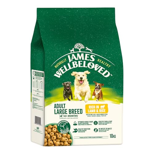 JAMES WELLBELOVED™ Hund für große Hunde Lamm & Reis 10kg von James Wellbeloved