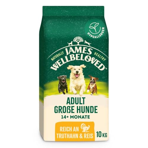 JAMES WELLBELOVED Große Hunde Reich an Truthahn & Reis 10kg JAMES WELLBELOVED Große Hunde Reich an Truthahn & Reis 10kg von James Wellbeloved