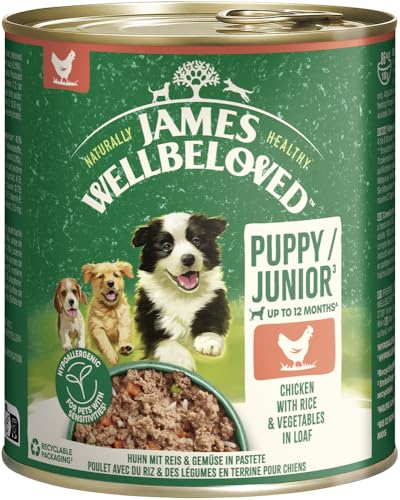 JAMES WELLBELOVED Hund Dose Junior Huhn Pastete 6x800g von James Wellbeloved