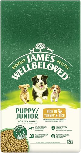 JAMES WELLBELOVED Junior Reich an Truthahn & Reis 12kg JAMES WELLBELOVED Junior Reich an Truthahn & Reis 12kg von James Wellbeloved