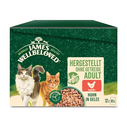 JAMES WELLBELOVED Katze Portionsbeutel Getreidefrei Huhn in Gelee 12x85g JAMES WELLBELOVED Katze Portionsbeutel Getreidefrei Huhn in Gelee 12x85g von James Wellbeloved