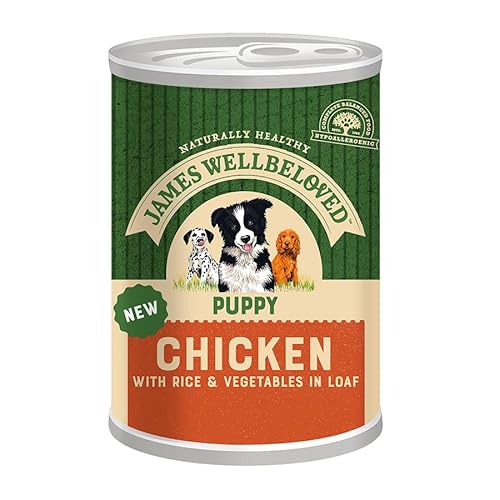 James Wellbeloved JWB Dog Can Puppy CkRcVg CIL CORE (1 x 400g) von James Wellbeloved