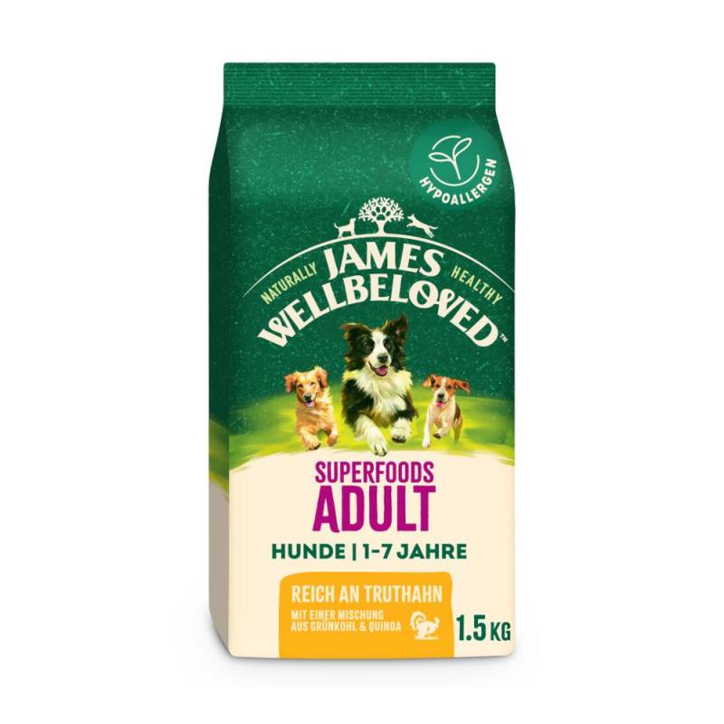 James Wellbeloved Superfoods Adult Dog Hypoallergenic Truthahn mit Grünkohl & Quinoa - 1,5 kg von James Wellbeloved