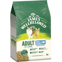James Wellbeloved Trockenfutter Katze Adult, Fisch 2x4 kg von James Wellbeloved