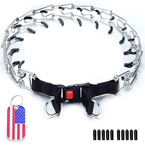 JanToPet Hundehalsband, verstellbar, für kleine, mittelgroße und große Hunde, Namensschild (NL, silberfarben) von JanToPet