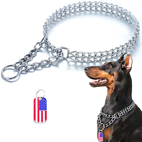 JanToPet Hundehalsband aus Edelstahl, kubanisches Gliederhalsband, verstellbar, kaufest, zweireihig, silberfarbenes Metall, für große, kleine und mittelgroße Hunde (2 Reihen, M) von JanToPet