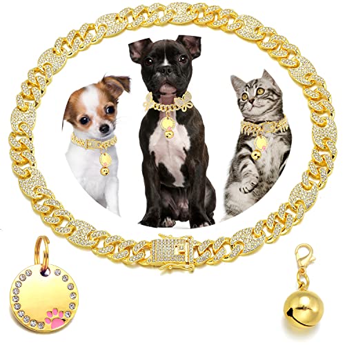 JanToPet Hundehalsband mit goldfarbener Kette, 13 mm, kubanisches Gliederhalsband für Hunde und Katzen, mit Design, sichere Schnalle, glitzernd, Zirkonia, Diamantkette, Hundehalsband für kleine JanToPet Hundehalsband mit goldfarbener Kette, 13 mm, kubanisches Gliederhalsband für Hunde und Katzen, mit Design, sichere Schnalle, glitzernd, Zirkonia, Diamantkette, Hundehalsband für kleine von JanToPet