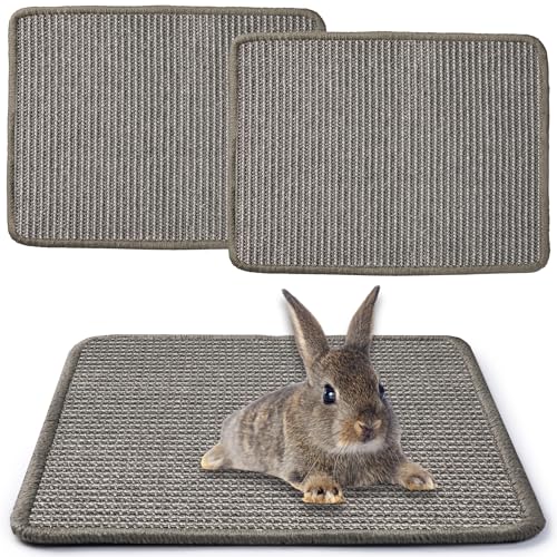 JanYoo 2 Stück Kratzmatte für Kaninchen 40×30cm, Natürliches Sisal Kaninchen Käfig Einlagen Meerschweinchen Unterlage Wiederverwendbar Haustierkäfig Bettwäsche zum Beißen (Grau) von JanYoo