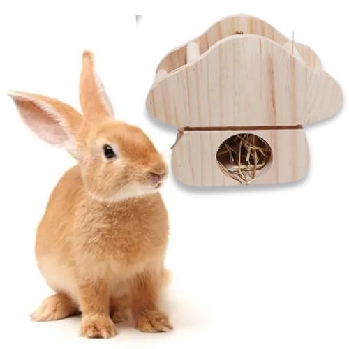 JanYoo Kaninchen-Heu-Futterstation, natürlicher Holz-Heuhalter für Meerschweinchen, Kaninchenkäfig, Kaninchen, Heuspender, hängende stehende Champignons von JanYoo