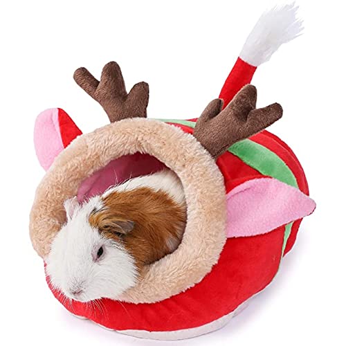 JanYoo Kleintierhöhle für Chinchilla, Igel, Meerschweinchen, Käfigzubehör, Spielzeug, für Bartagame, Hamster, Frettchen, Ratte JanYoo Kleintierhöhle für Chinchilla, Igel, Meerschweinchen, Käfigzubehör, Spielzeug, für Bartagame, Hamster, Frettchen, Ratte von JanYoo