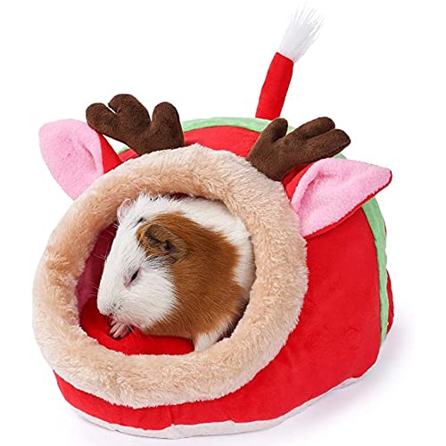 JanYoo Kleintierhöhle für Chinchilla, Igel, Meerschweinchen, Käfigzubehör, Spielzeug, für Bartagame, Hamster, Frettchen, Ratte JanYoo Kleintierhöhle für Chinchilla, Igel, Meerschweinchen, Käfigzubehör, Spielzeug, für Bartagame, Hamster, Frettchen, Ratte von JanYoo