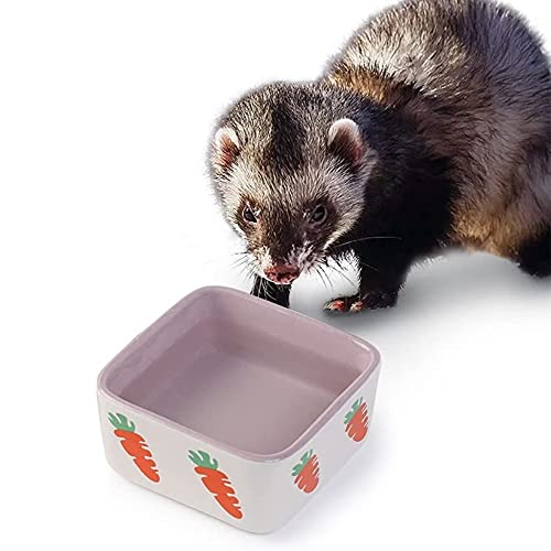 JanYoo kleintiernäpfe zubehör Kaninchen napf futterspender futtertrog schüssel trinknapf futternapf Keramik Schale Lila JanYoo kleintiernäpfe zubehör Kaninchen napf futterspender futtertrog schüssel trinknapf futternapf Keramik Schale Lila von JanYoo