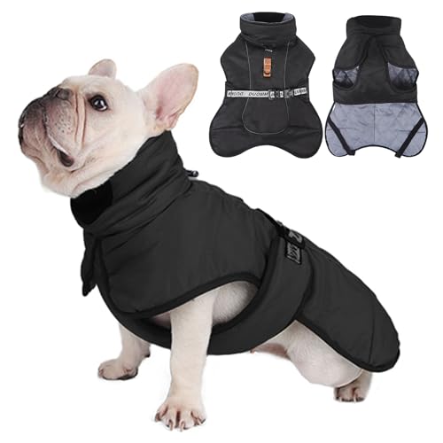 Janety Hundemantel Winter Winddichte warme Hundejacke mit reflektierenden Streifen, Kleidung für kaltes Wetter für Welpen und kleine bis mittelgroße Hunde Schwarz XL Janety Hundemantel Winter Winddichte warme Hundejacke mit reflektierenden Streifen, Kleidung für kaltes Wetter für Welpen und kleine bis mittelgroße Hunde Schwarz XL von Janety