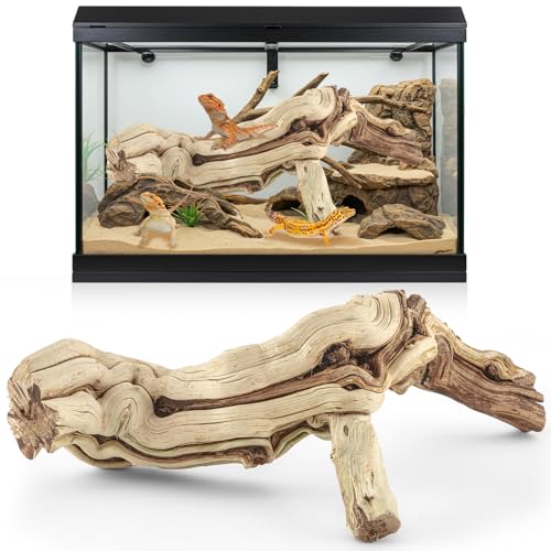 Janinka Großer Reptilienzweig aus Holz für Bartagamen, 38,1–43,2 cm Länge, Treibholz, Reptilien, Kletter-Lebensraum, Dekoration für Terrarium, Baumstamm, Ornament, Gecko, Frosch, Chamäleon, Spinne Janinka Großer Reptilienzweig aus Holz für Bartagamen, 38,1–43,2 cm Länge, Treibholz, Reptilien, Kletter-Lebensraum, Dekoration für Terrarium, Baumstamm, Ornament, Gecko, Frosch, Chamäleon, Spinne von Janinka